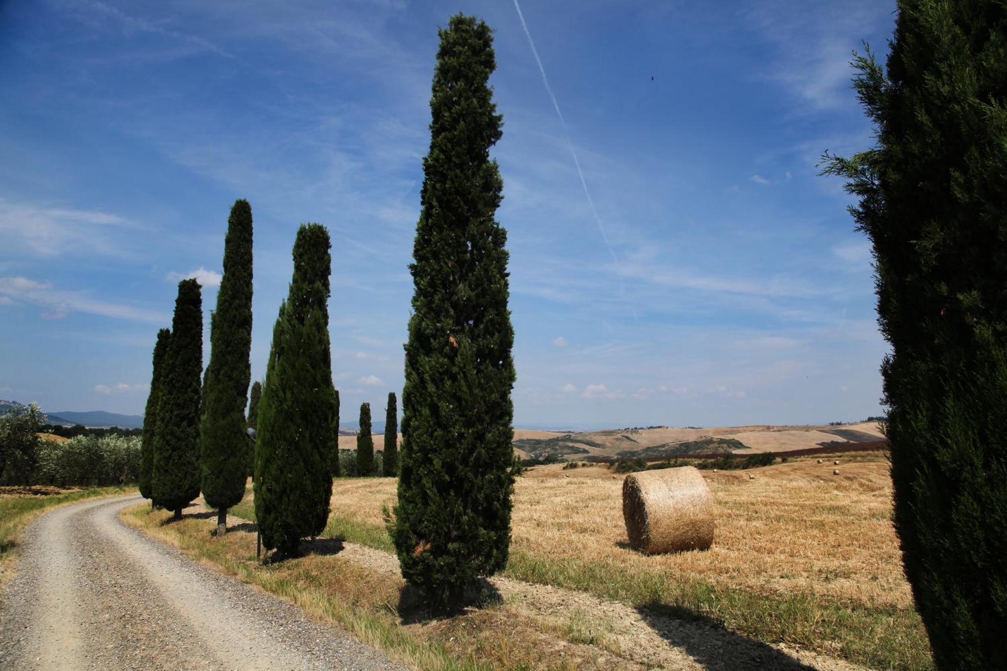 Agriturismo Bagnaia San Quirico dʼOrcia Extérieur photo
