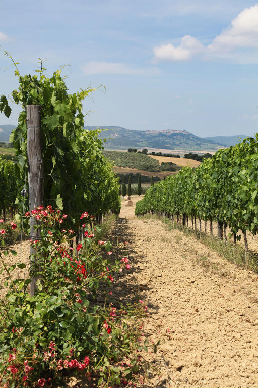 Agriturismo Bagnaia San Quirico dʼOrcia Extérieur photo
