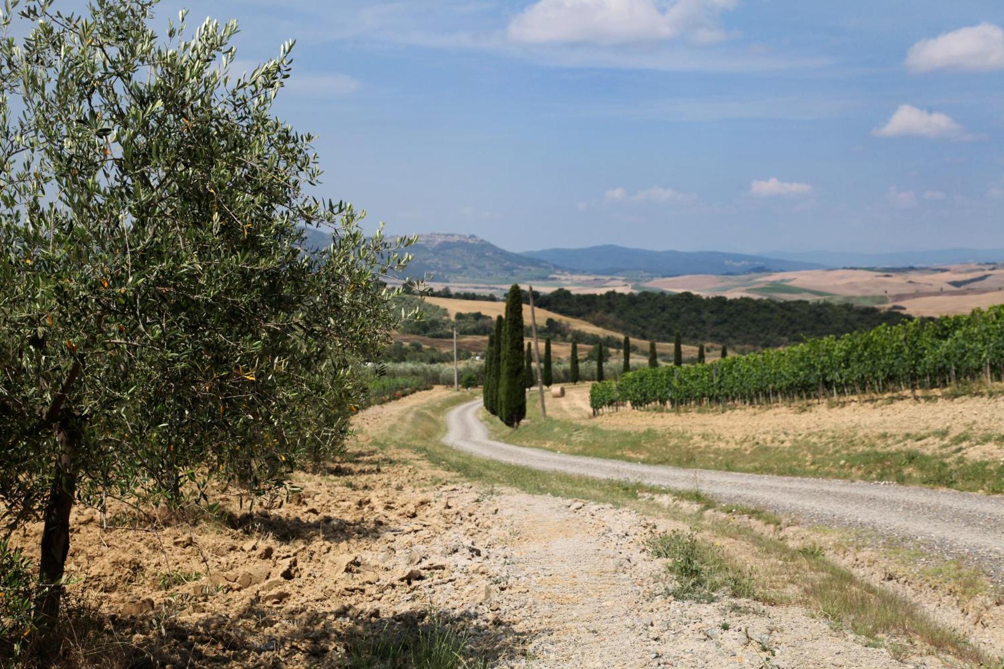 Agriturismo Bagnaia San Quirico dʼOrcia Extérieur photo