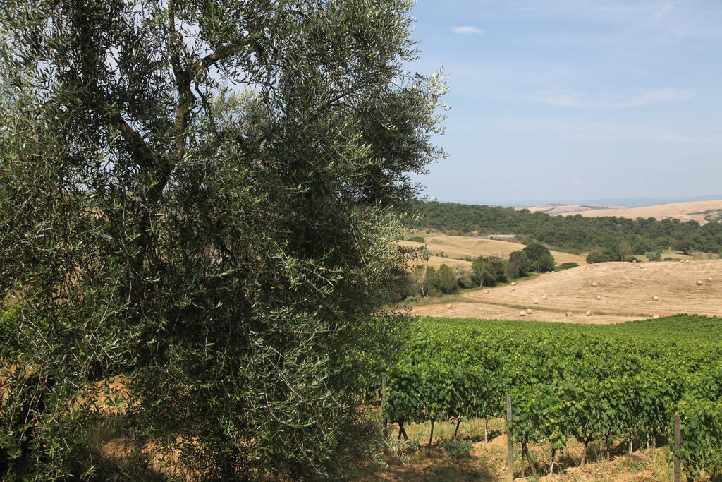 Agriturismo Bagnaia San Quirico dʼOrcia Extérieur photo