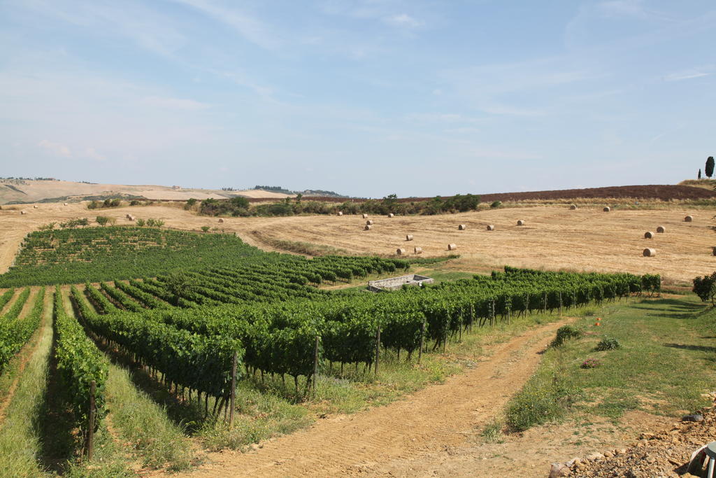 Agriturismo Bagnaia San Quirico dʼOrcia Extérieur photo