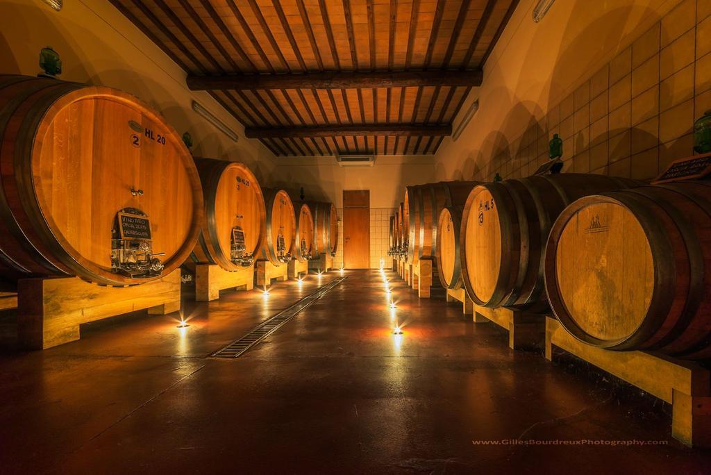 Agriturismo Bagnaia San Quirico dʼOrcia Extérieur photo