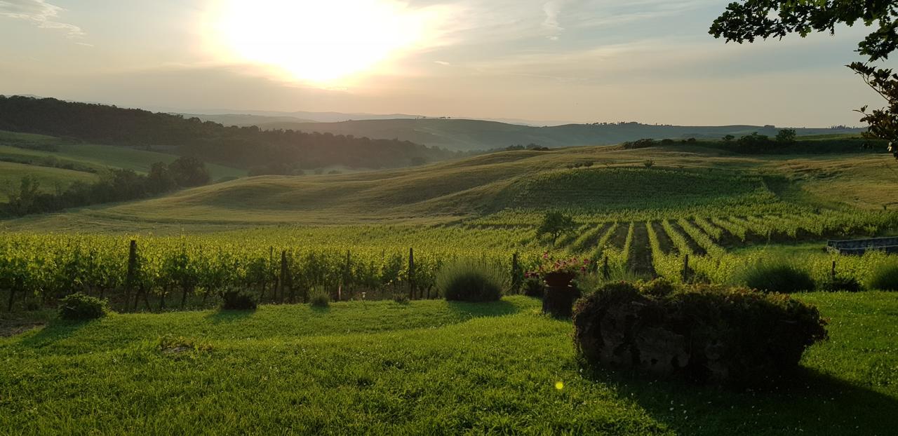 Agriturismo Bagnaia San Quirico dʼOrcia Extérieur photo